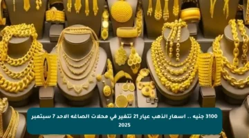 3100 جنيه .. أسعار الذهب عيار 21 تتغير في محلات الصاغة الأحد 7 سبتمبر 2025